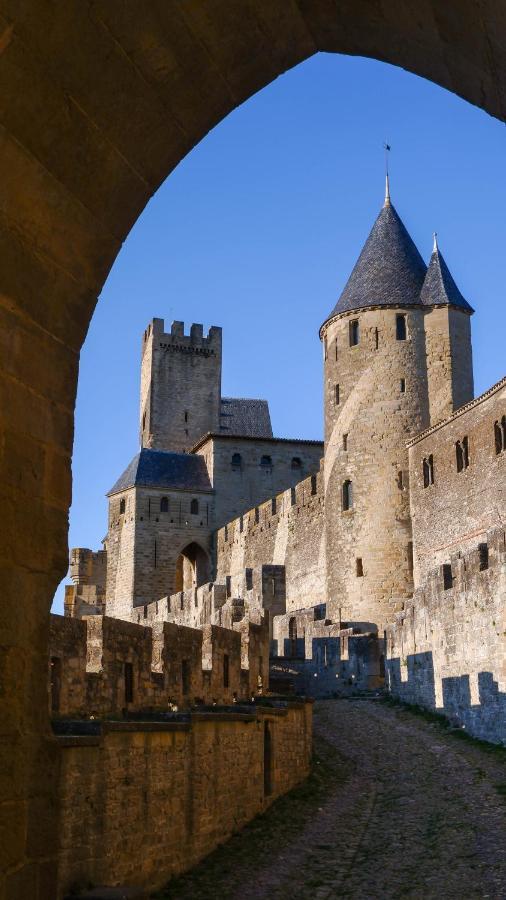 Hotel ibis Carcassonne Est la Cité Esterno foto